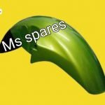 Mudguard Parrot Green-First Quality - Passion Pro