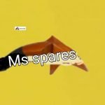 Mudguard Golden Colour-First Quality - Twister