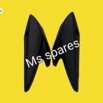 Visor Side Piece-First Quality - Fz-v2