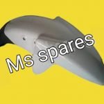 Front Mudguard White Colour-First Quality - Apache RTR 180 Old Model