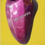 Purple Colour Mudguard-First Quality- Activa-Het