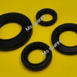 Oil Seal Kit-First Quality - Ntorq