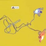 Rear Number Plate Disco Light- Activa i