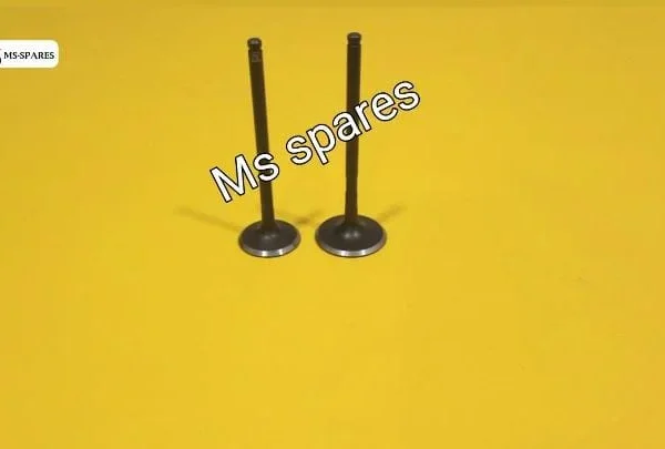 Valve Set-Genuine- Gusto