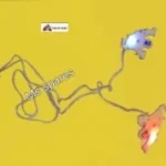 Rear Number Plate Disco Light- Gusto